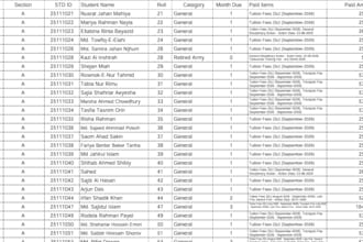 entry data excel and word with precision and polished