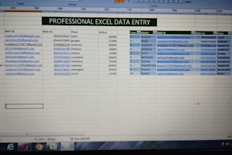 do accurate data entry excel and excel data entry