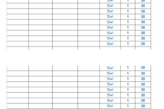convert PDF to excel and do accurate data entry