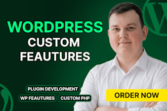 build custom wordpress features, hooks, and custom plugin