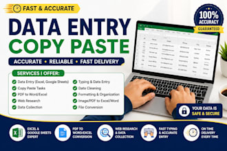 word, and excel data tasks