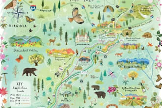 design a custom festival map, concert layout, or event venue map
