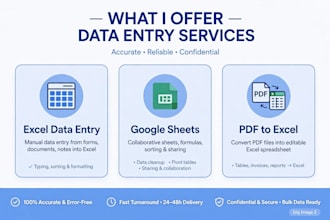do accurate data entry, excel clean up, web research and typing