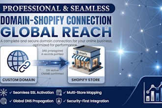connect your domain to shopify and configure dns