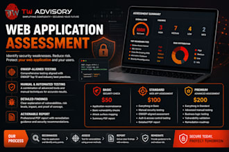 perform an authorized web application security assessment