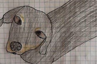 draw your pet in a cute and funny kid art style