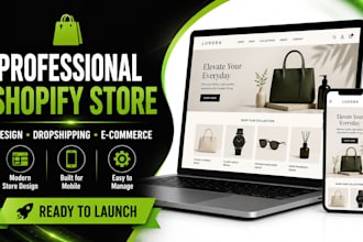 build a professional shopify dropshipping store ready to launch