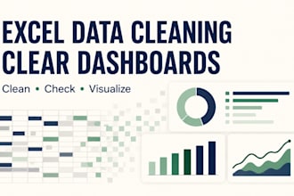 clean excel data and build a practical dashboard