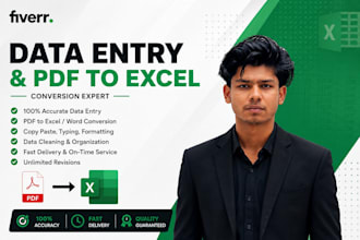 do excel data entry and pdf to excel conversion