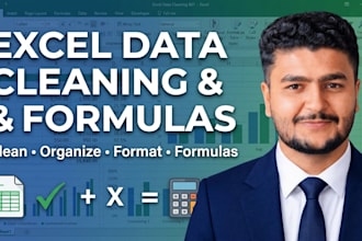 clean, organize excel data and work on formulas as vlookup