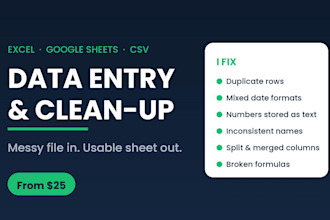 do data entry and clean up your messy excel spreadsheets