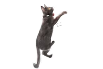 cute pet illustration  custom animal art