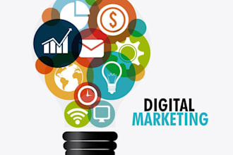 shopify setup, GTM tracking, google ads, and social media marketing