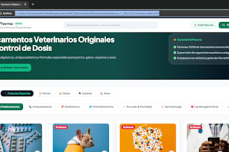 full stack web and mobile developer