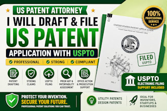 draft and file a professional US patent application and file it with uspto