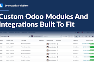 customize odoo modules and build integrations for your erp
