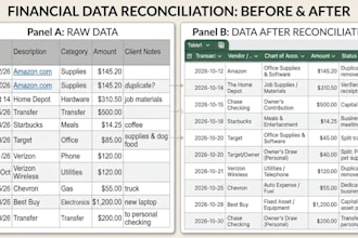 provide expert monthly bookkeeping and financial cleanup