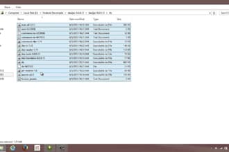 decompile ea, decompile, recompile, forex ea, crack ea , source code