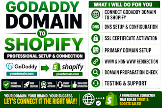 connect domain to shopify fix dns domain transfer godaddy to shopify