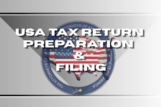 prepare and efile US tax returns for individuals, llcs and corporations