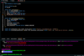 fix bugs, debug, and develop java ee servlets and python scripts