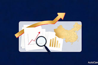 research the chinese market and deliver a professional report