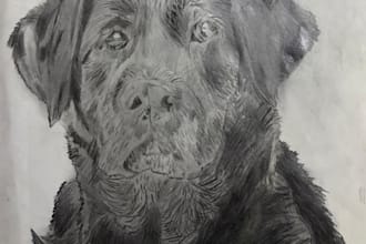 draw a realistic pencil portrait or pet drawing