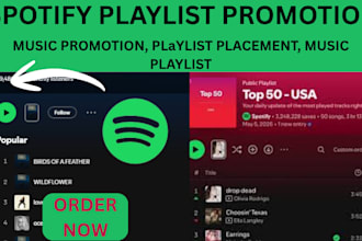 promote your spotify music release with playlist pitching