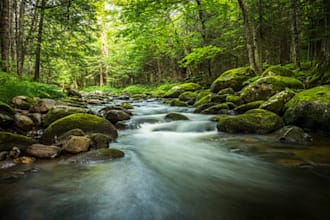 write outdoor feature stories and personal narrative essays