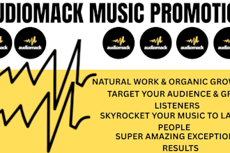 do best organic audiomack music promotion for superfast growth using email ads