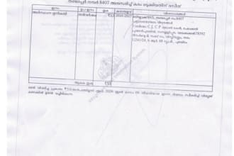 do professional malayalam to english translation