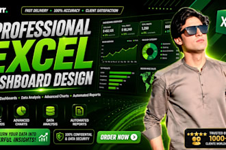 create a professional excel dashboard with charts and report