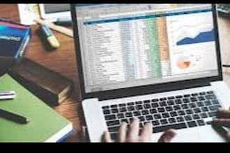 do professional excel data cleaning formatting services