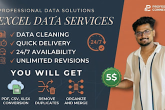 ms excel pro data analyst hindi english typing 2 data manager