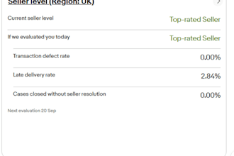 your ebay ds SEO virtual assistant for product listing and store management
