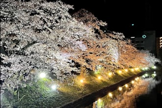 translate english to japanese as a native japanese speaker