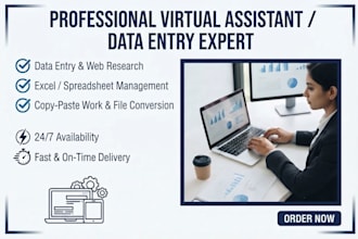 do professional data entry and excel spreadsheet work