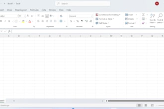 provide expert data entry and excel spreadsheet services