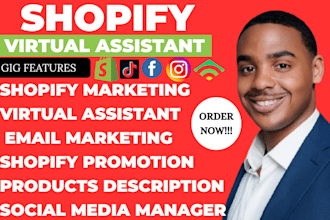 shopify virtual assistant shopify marketing promotion social media manager