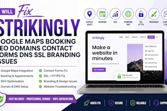 fix strikingly google maps booking seo domains contact forms dns branding issues