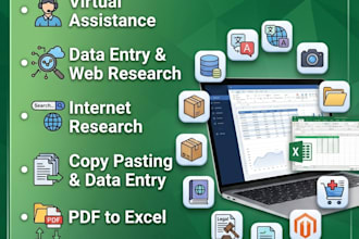 perfect data entry, copy paste, and web research work