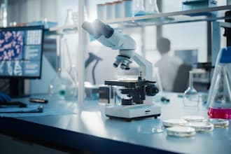 write unique articles and presentations in biochemical and medical sciences