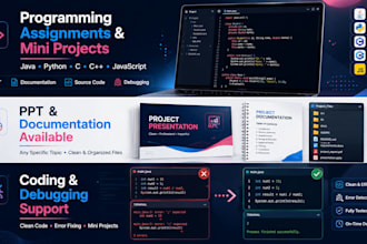 programming assignments mini projects PPT debugging