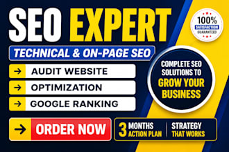 do website audit report, technical SEO analysis and 3 months action plan