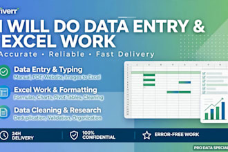 do accurate data entry excel work and virtual assistant