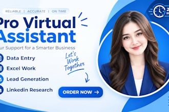 be your VA for data entry and lead generation