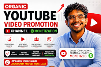 do organic USA youtube video promotion, music promotion