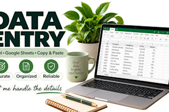 do manual data entry and organizing data in excel and google sheets