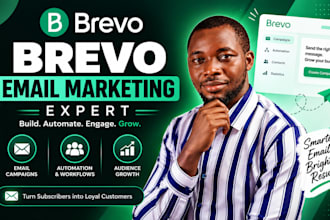 setup brevo email marketing automation expert brevo newsletter template design