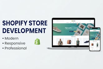 build a professional shopify store